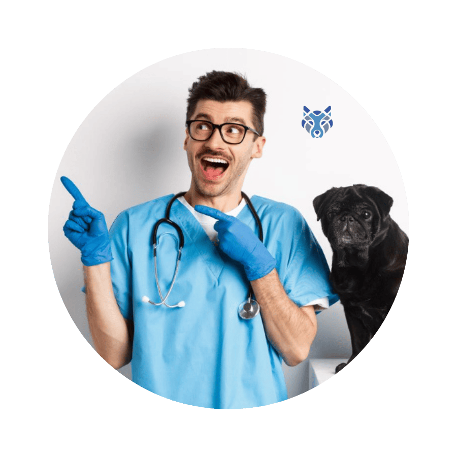 Ilustración de veterinaria consultando Lupprint para preguntas frecuentes.